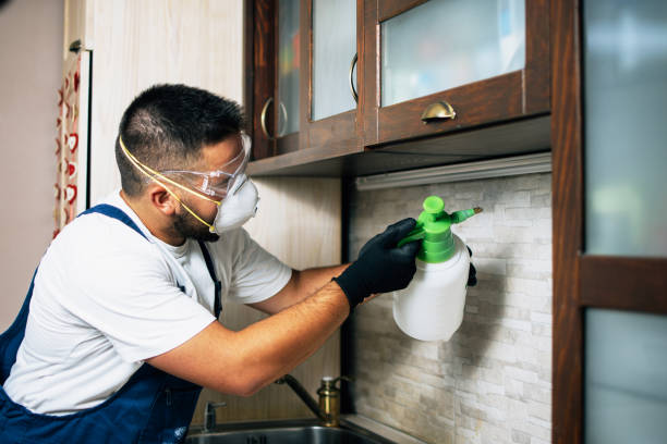 Best Local Pest Control Services  in Fallston, MD