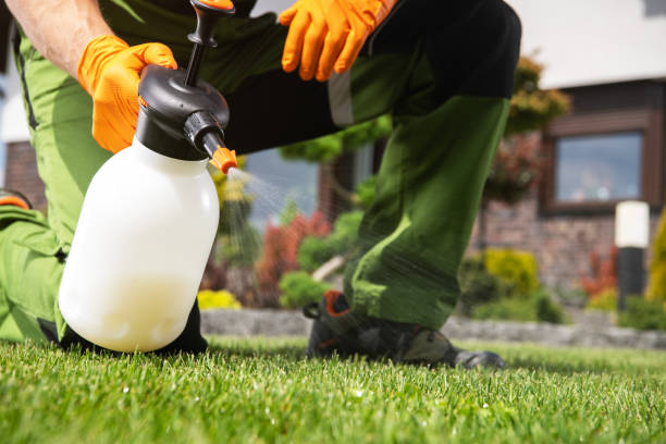 Best Pest Control Near Me in Fallston, MD