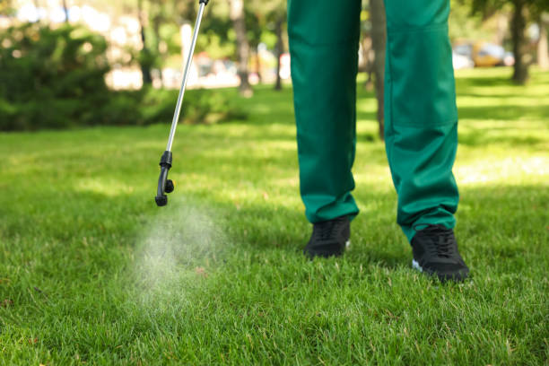 Bird Control in Fallston, MD