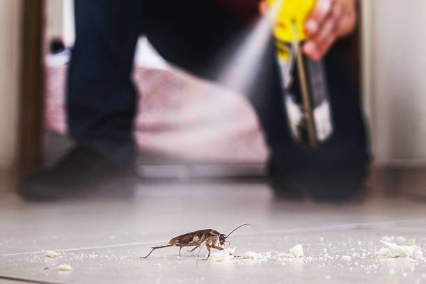 Best Bed Bug Extermination  in Fallston, MD