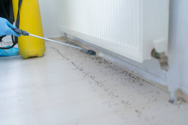 Best Pest Removal Services  in Fallston, MD