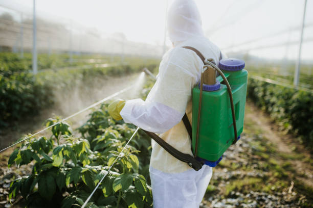 Best Rat Extermination Near Me  in Fallston, MD